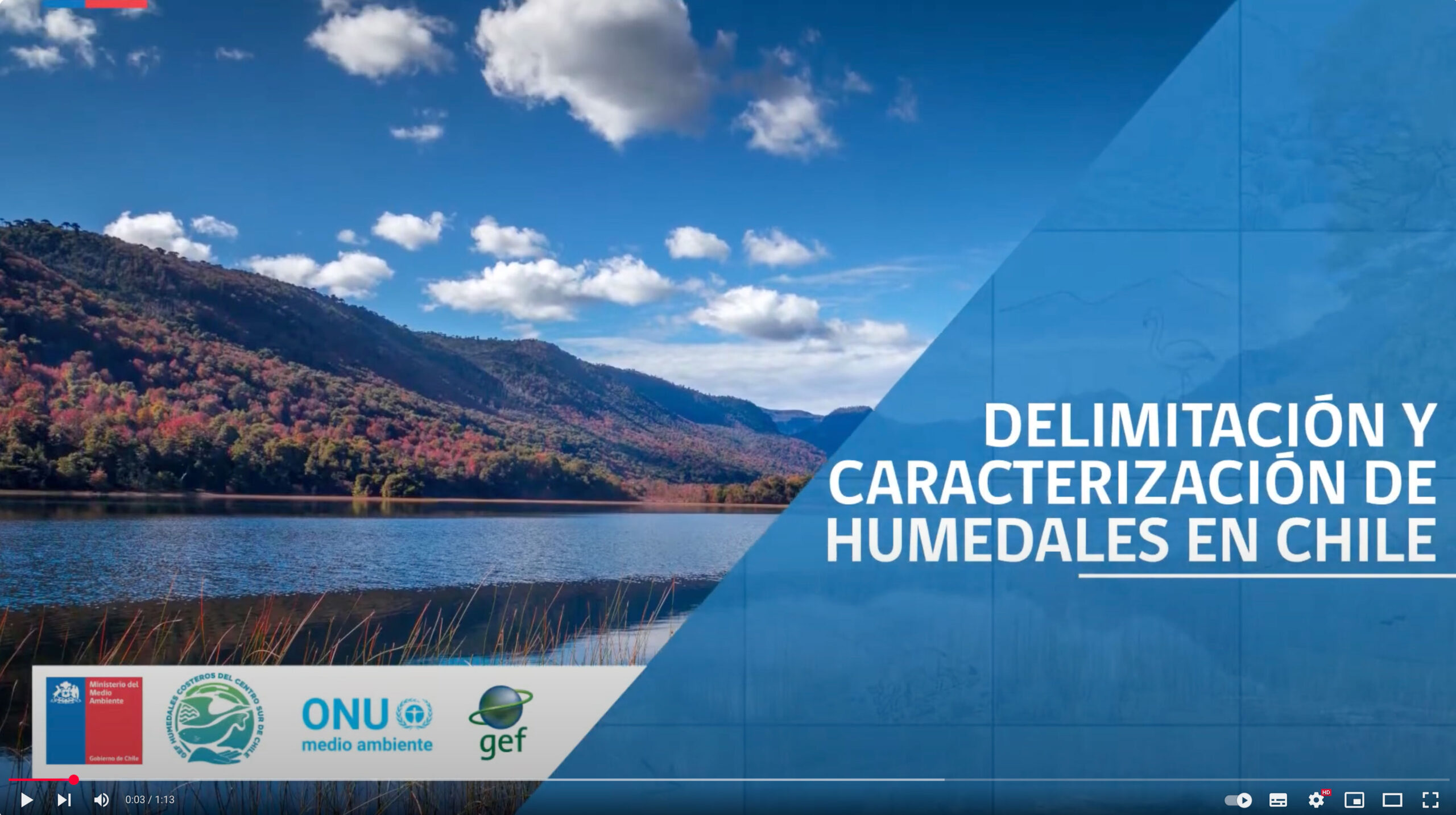 Módulo 1 Video 1 - Introducción